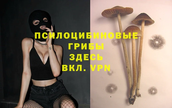 mdpv Абинск