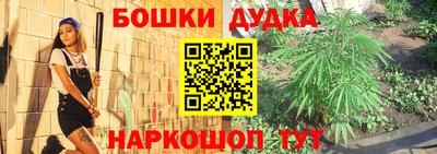 крисы Новозыбков