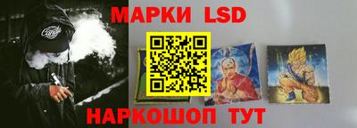 крисы Новозыбков
