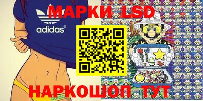 spice Новодвинск