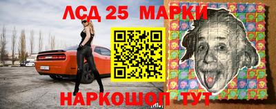 крисы Новозыбков