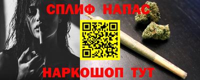 крисы Новозыбков