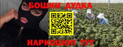 крисы Новозыбков