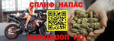 spice Новодвинск