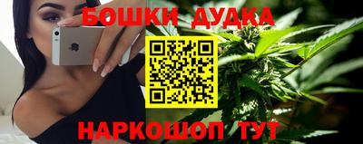 крисы Новозыбков