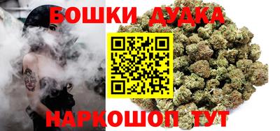 spice Новодвинск