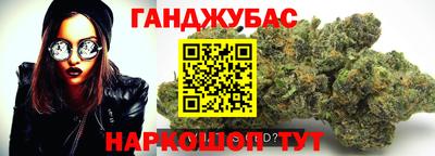 крисы Новозыбков