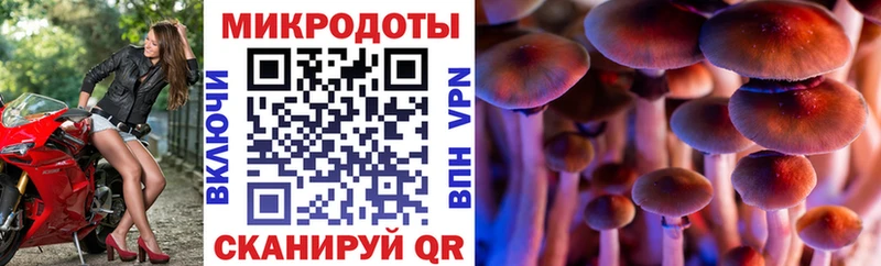 Галлюциногенные грибы мицелий  Нефтеюганск 